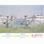 Gitane catalog supplement (1975)