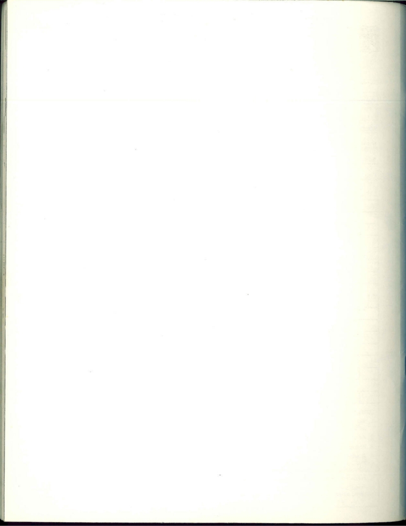 Big Wheel catalog (1974)