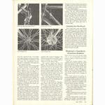 <------ Bicycling Magazine 07-1978 ------> First Time Bicycle Buyers Guide