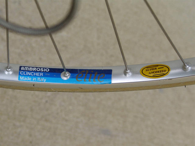 1983 Pino Morroni
