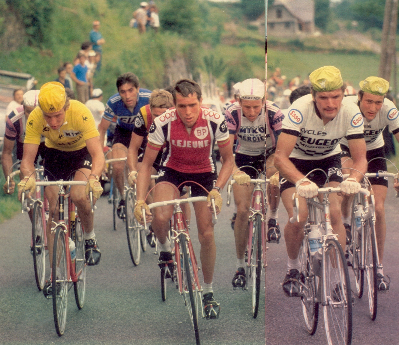 Bernard Thevenet (1977)