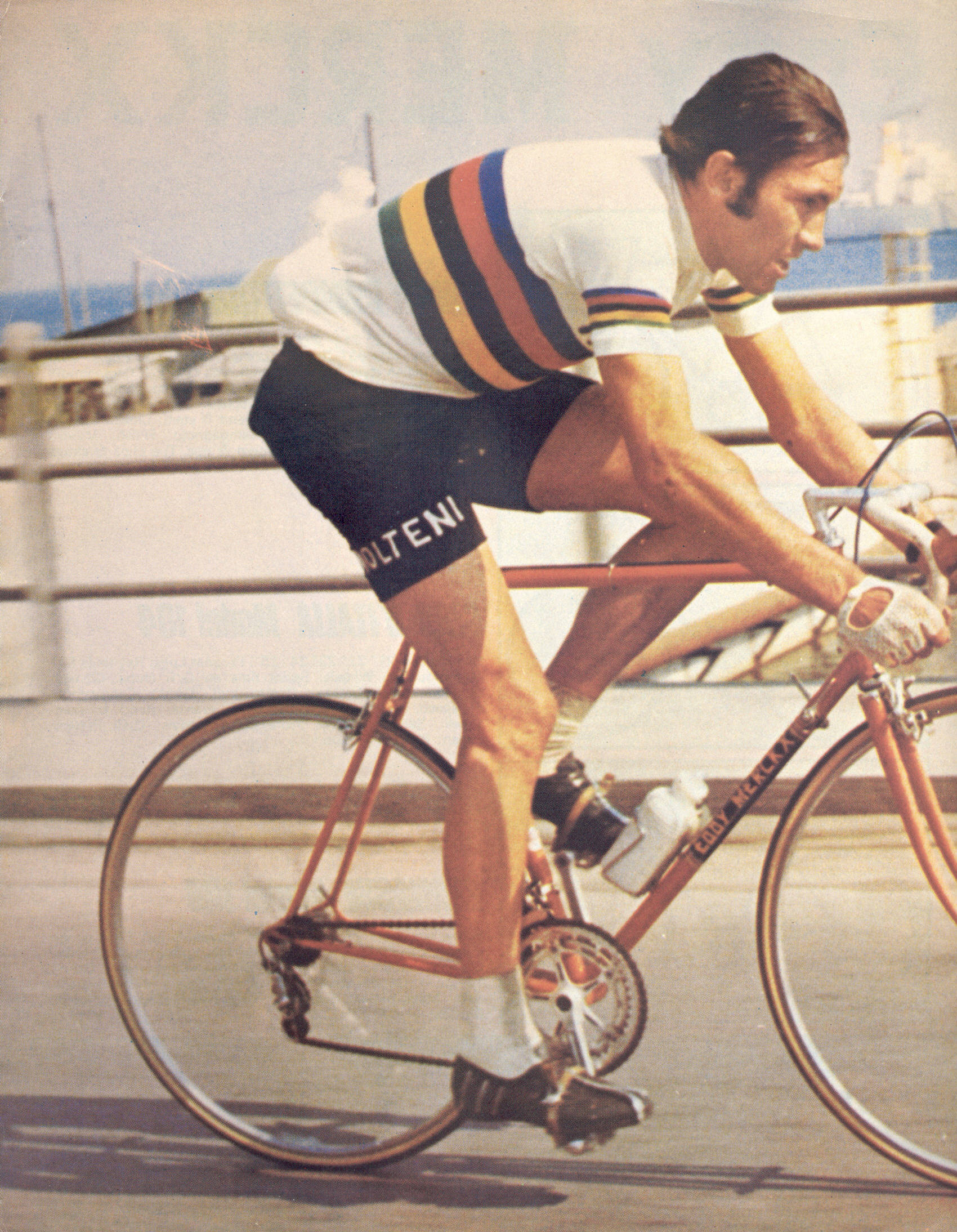 Falcon Merckx brochure (1973)