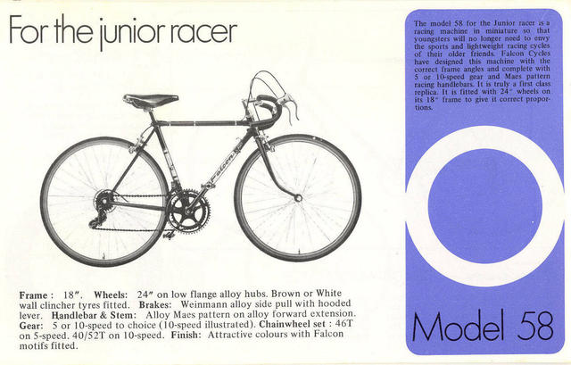 Falcon catalog (1974)
