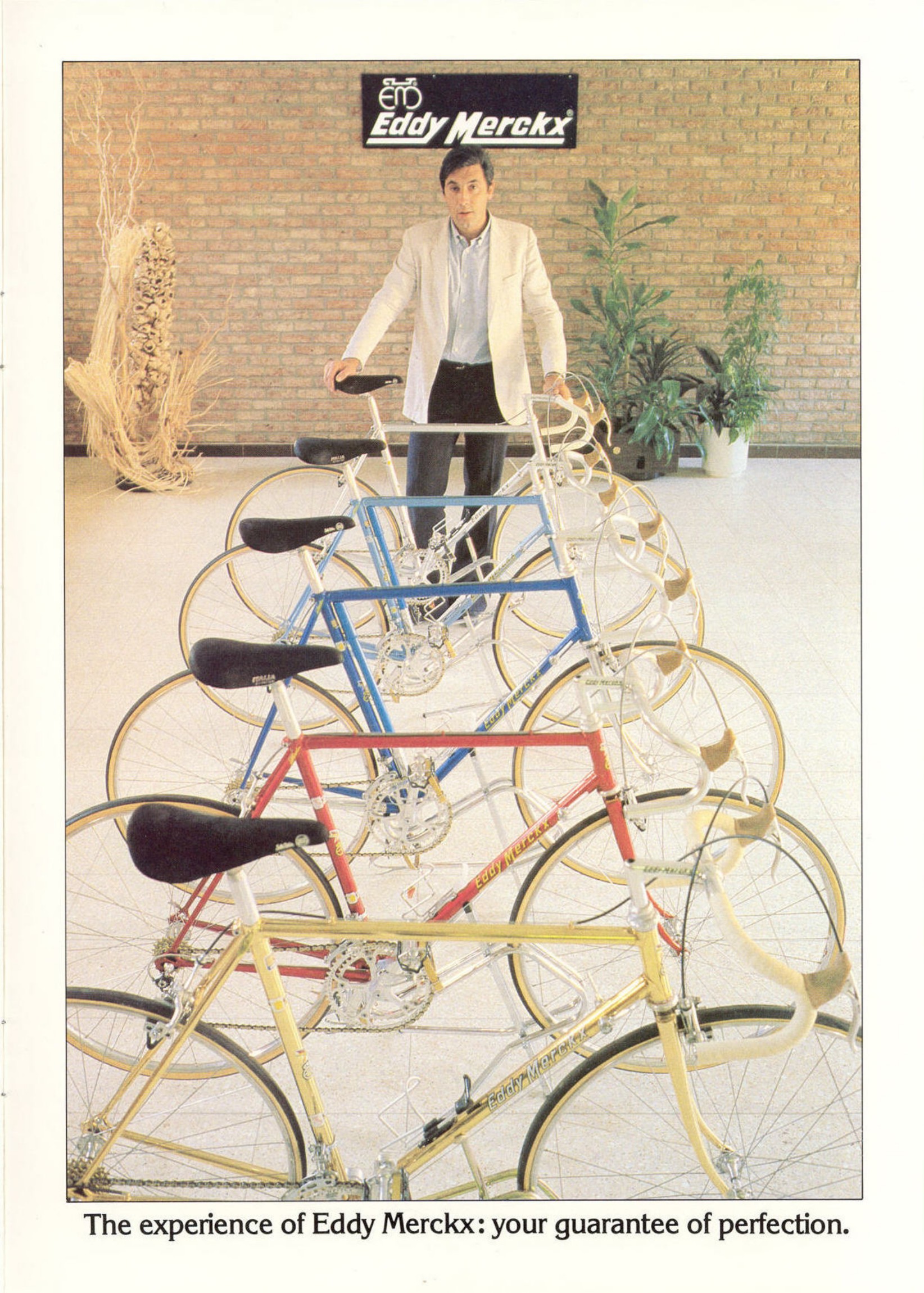 Eddy Merckx catalog (1981)