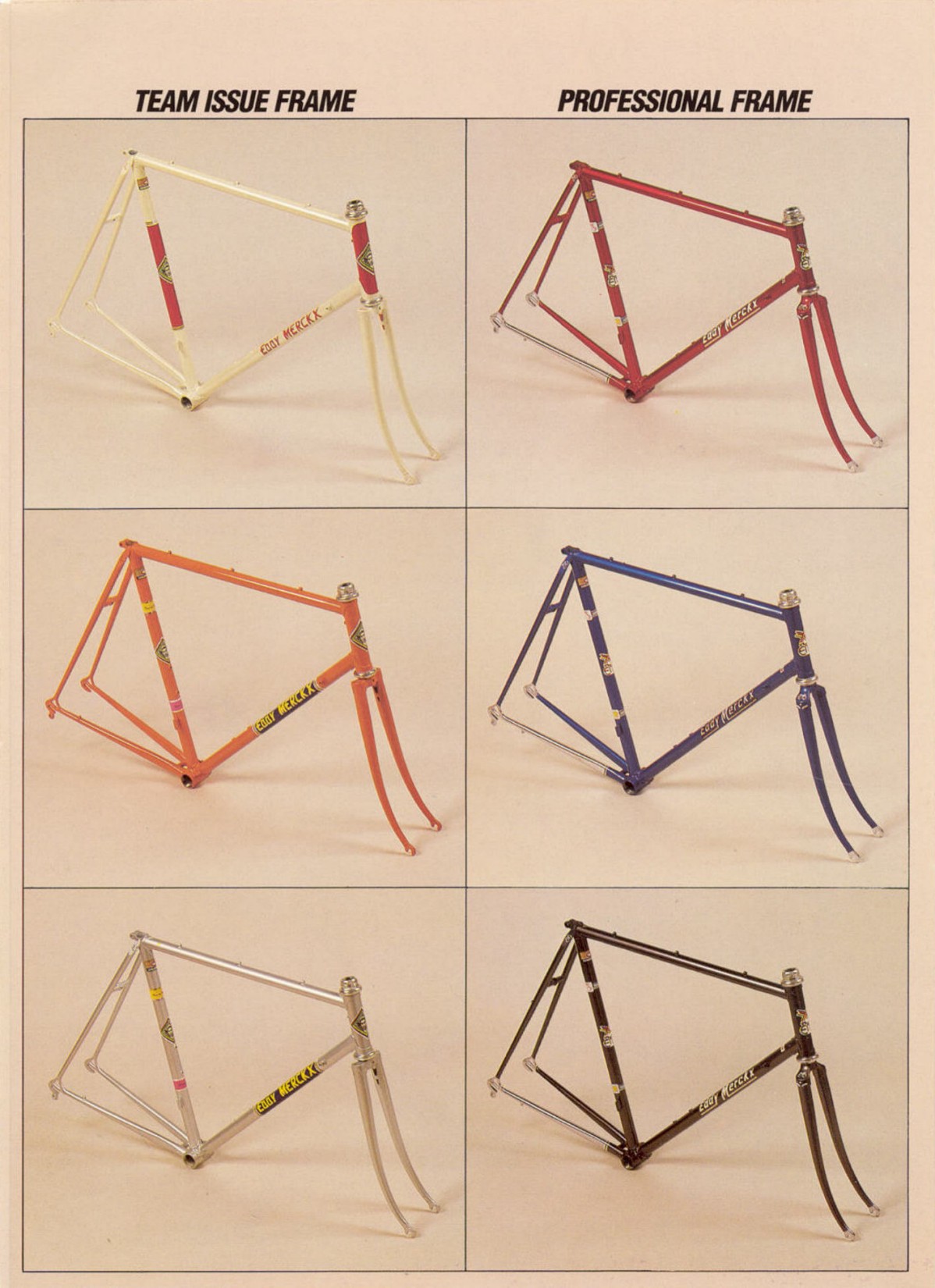 Eddy Merckx catalog (1984)