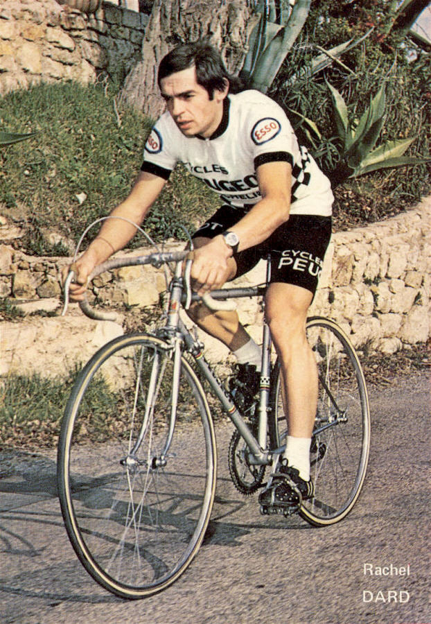 Rachel Dard (1977)