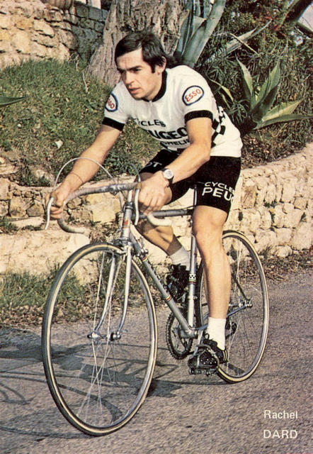 Rachel Dard (1977)