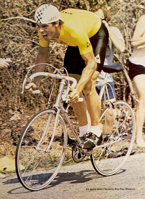 Phil Anderson (1981)