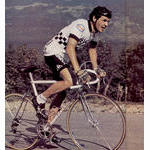 Stephen Roche (1981)