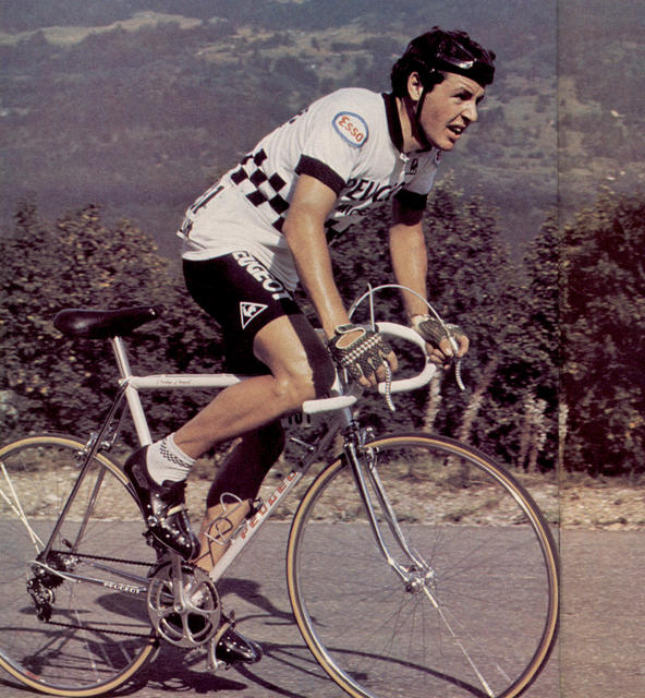 Stephen Roche (1981)