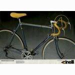 Cinelli