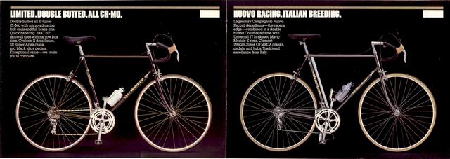 Bianchi catalog (1982)