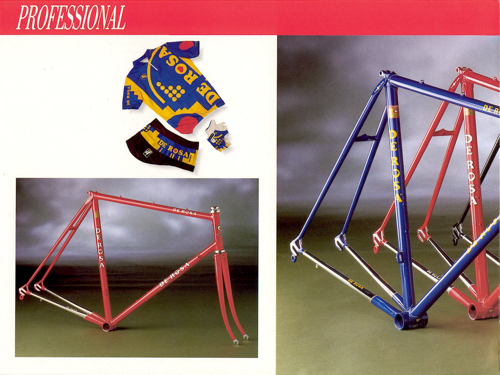 De Rosa catalog (1989)