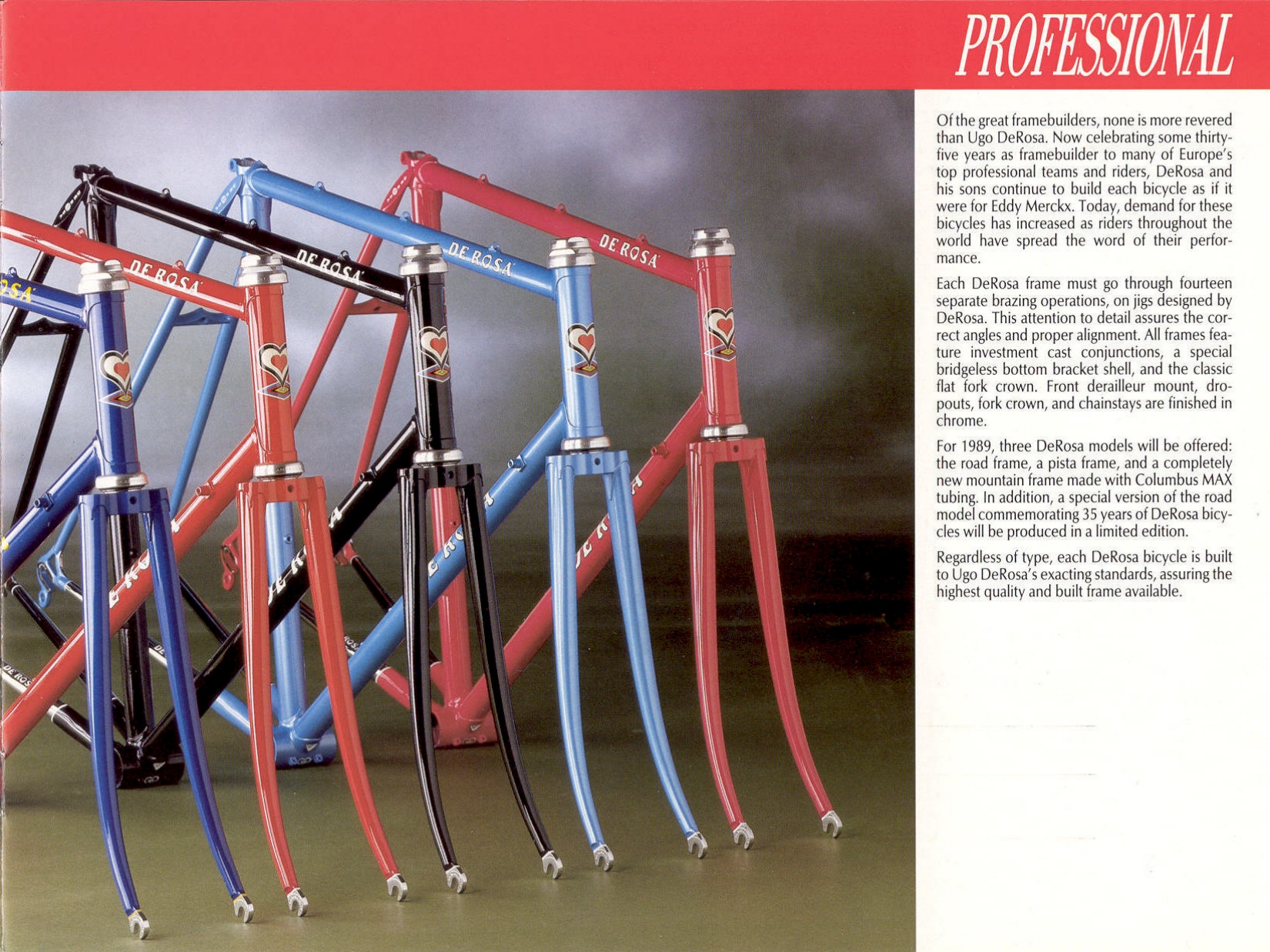 De Rosa catalog (1989)