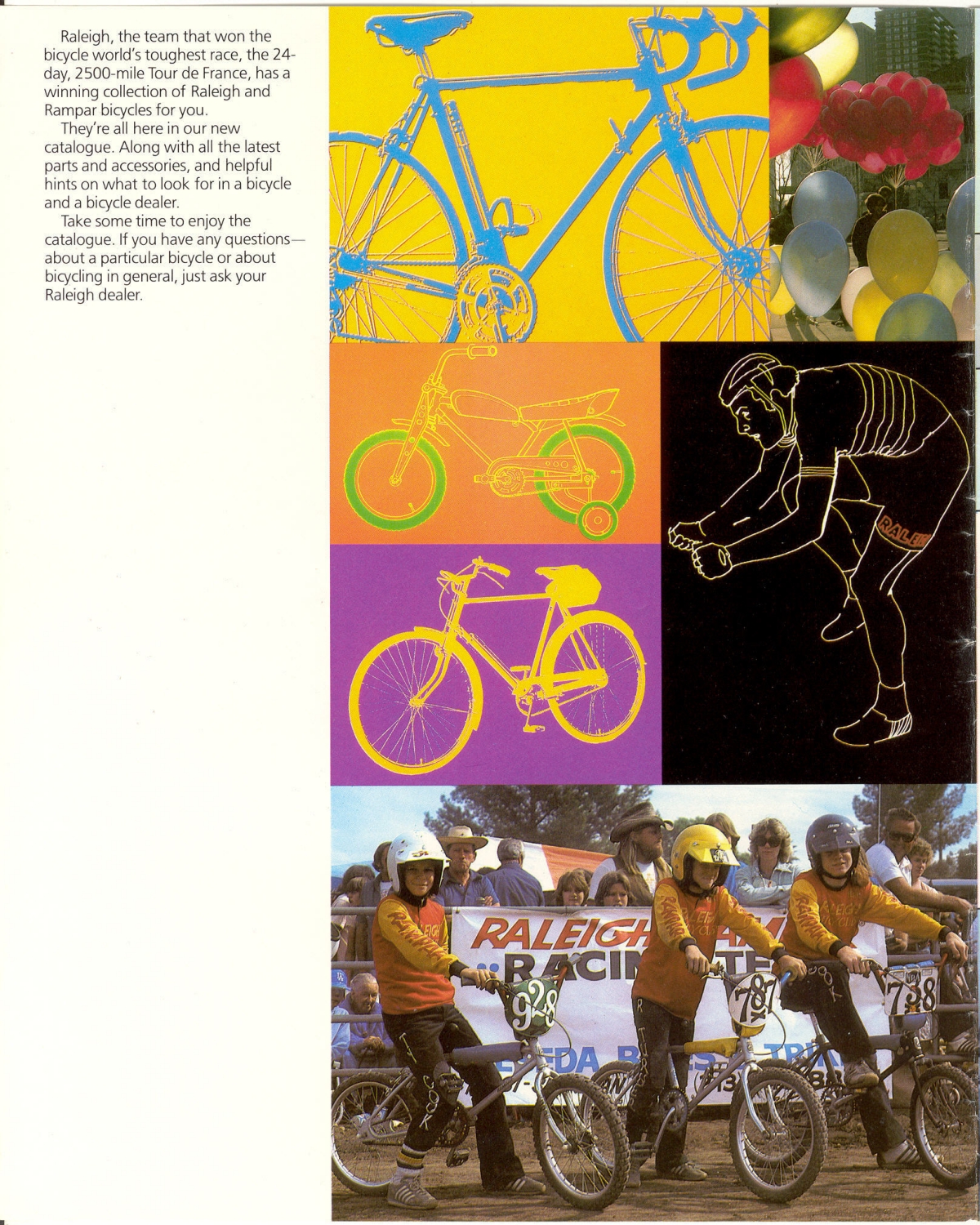 Raleigh catalog (1973)