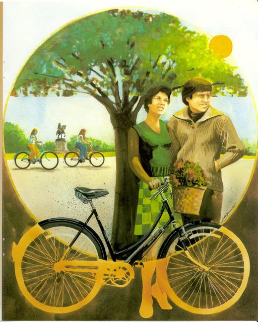 Raleigh catalog (1973)