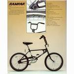 Raleigh catalog (1973)