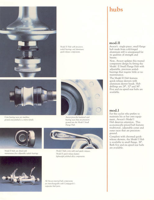 Avocet catalog (1981)