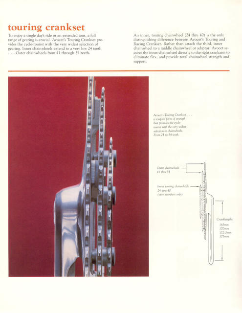 Avocet catalog (1981)