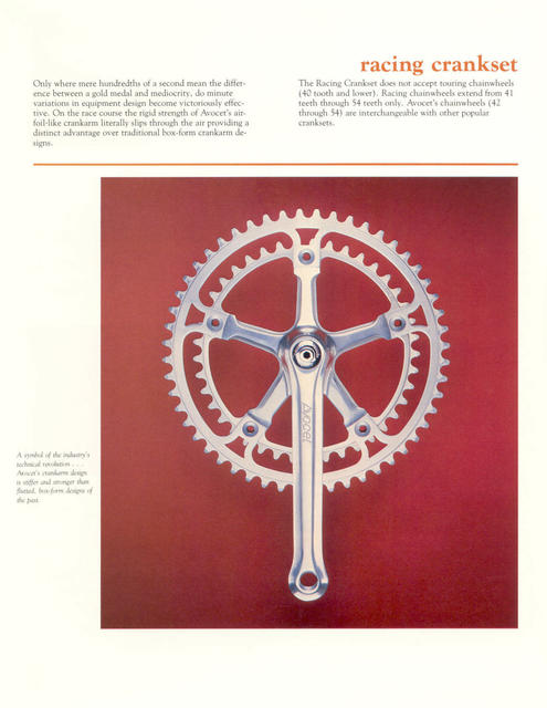 Avocet catalog (1981)
