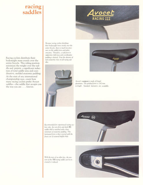 Avocet catalog (1981)