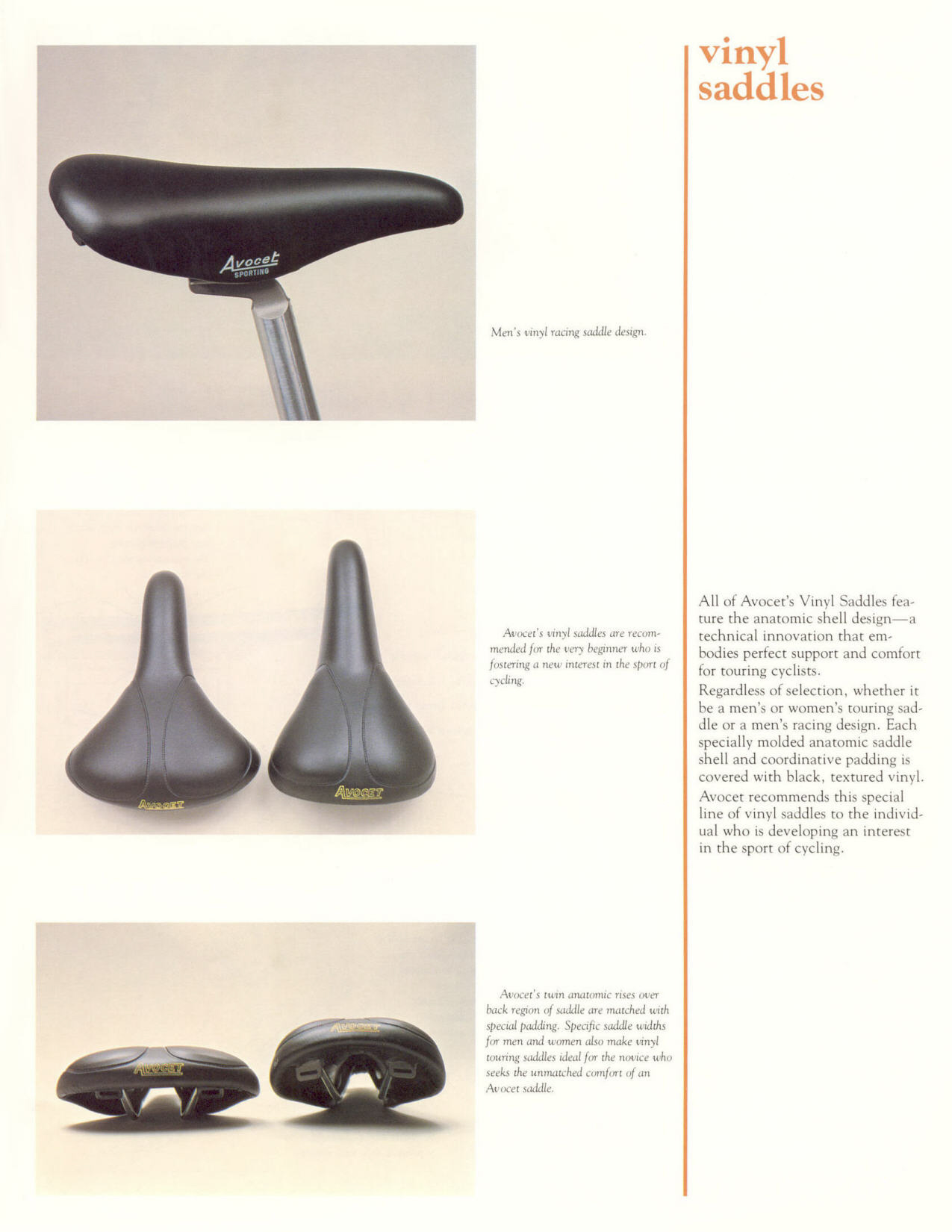 Avocet catalog (1981)