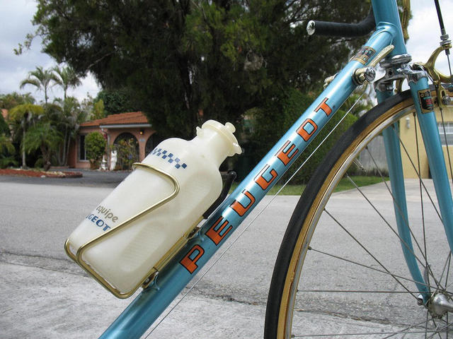 1979 Peugeot PY-10 CP (9.09.2623) -------- 2nd Kurt Kaminer picture set