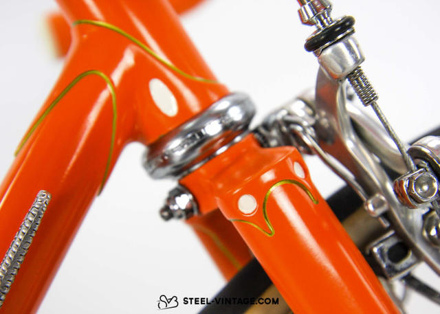 1973 Motobecane / Gemini ----------------- (Luis Ocana Tour de France replica)
