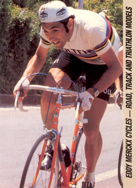Eddy Merckx catalog (1984)